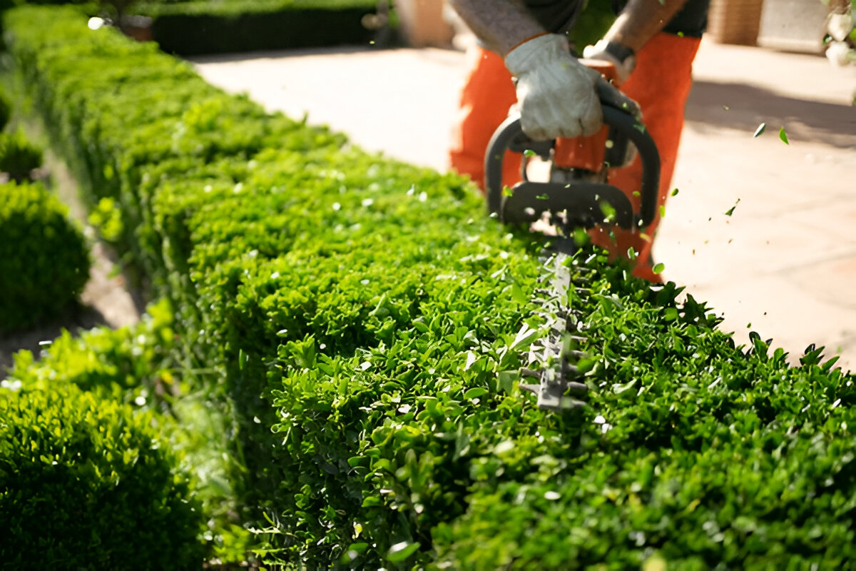 Hedge Pruning and Trimming